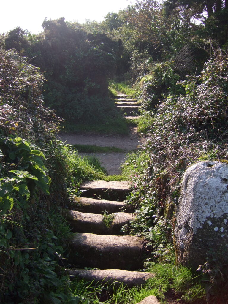 Tender for Rights of Way Maintenance Contract   2026 to 2028 (3-year contract)